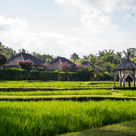 Visesa Ubud Villa And Resort-3